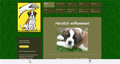 Desktop Screenshot of bernhardiner-in-not.de